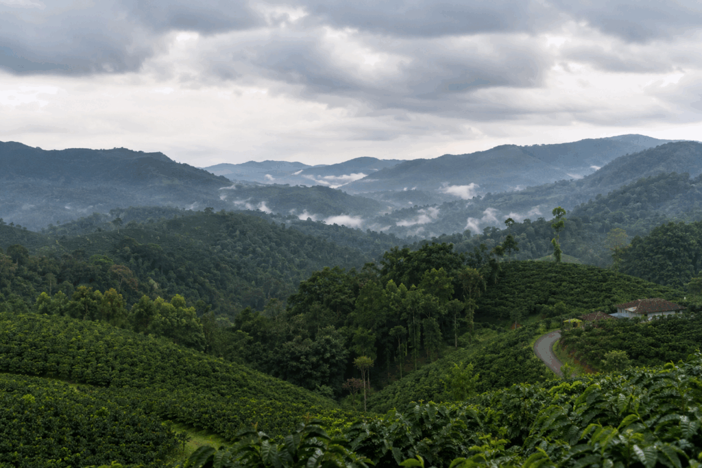 places in south india