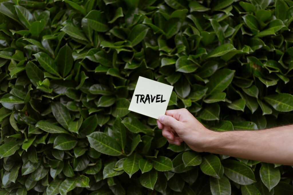 Eco-Friendly Travel Options